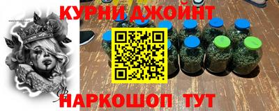 jwh Кингисепп