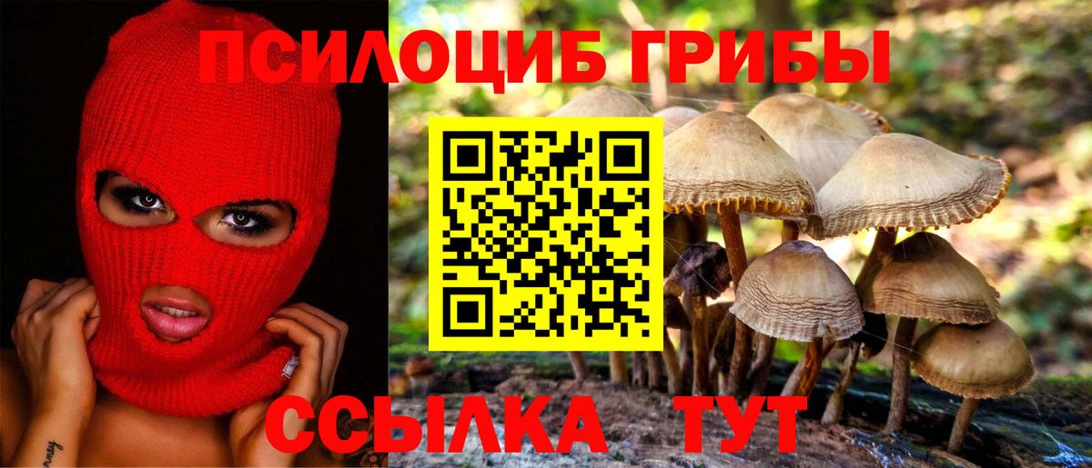Псилоцибиновые грибы Cubensis  Вход с VPN  где купить   Еманжелинск 